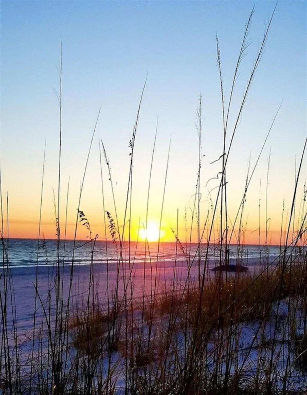 Location In Calypso! 308 West Beachfront 3br Apartment